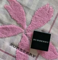 Item thumbnail for item 8e508a2f-5cc0-42a7-a69b-1bc5db14837f