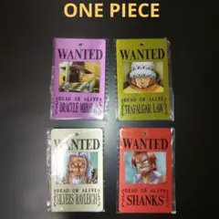 ONE PIECE 　メタル手配書　メタルカードチェーンホルダー！当時物