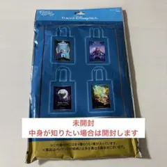 東京ディズニーシー ファンタジースプリングス エコバック