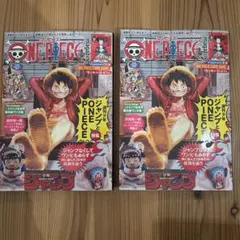 ワンピース・マガジン20号 ２冊付録完備 プロモ　ルフィ　カード　セット　未開封