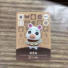 2026年最新】とびだせどうぶつの森 amiiboカードの人気アイテム - メルカリ