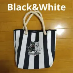 Item thumbnail for item 9f196b7b-95ed-485d-8868-c6fb358ff934