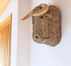 Item thumbnail for item e8ca52d5-4b4c-4def-9bf7-8f8ad314fc8c