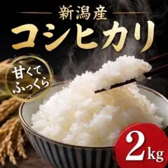 【2kg】令和7年新潟産コシヒカリ|従来品種×有機肥料100%|精米後に直送!のサムネイル