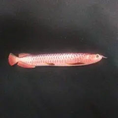 Item thumbnail for item 014e94f3-7237-4569-9d8f-2dec343e5444