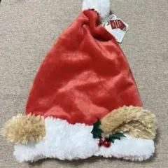 【新品未使用】ディズニーリゾート　クリスマス　ダッフィ＆フレンズ　サンタ帽