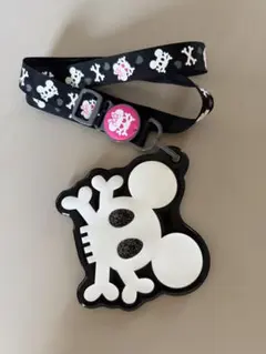 東京ディズニーランドミッキーマウスパスケース