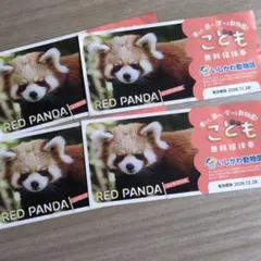 いしかわ動物園 こども無料招待券 4枚セット