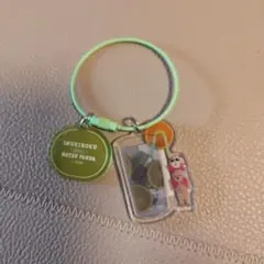 イオン 犬記録 ナツパンダ ワイヤーアクリルチャーム