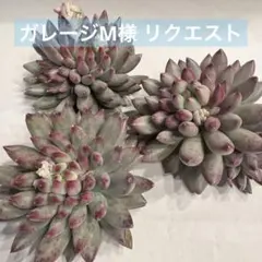 ガレージM様 リクエスト 4点 まとめ商品 宅急便発送