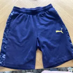 プーマ　ハーフパンツ150cm