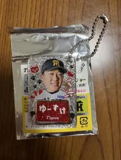 阪神タイガース 大山 応援 ラージタオル - メルカリ