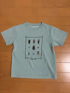 mont-bell 昆虫プリント Tシャツ 120