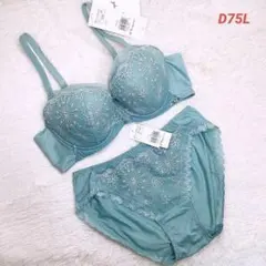 【専用】トリンプ　ブラジャー＆ショーツ　D65　３セット　新品　匿名配送 Triumph（トリンプ） ブラジャー ショーツセット 「カラバリ豊富！WEB