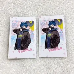 Crazy Raccoon CRフェス カード Vanilla