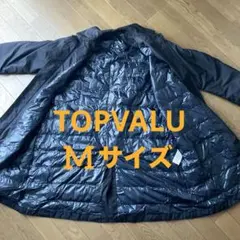 Item thumbnail for item c271c197-2b78-4e04-ab06-e9f170d8563c