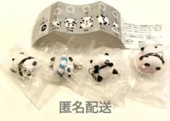 たれぱんだ　つなげて可愛い！マスコットチャー厶　４つセット　バラ売り可