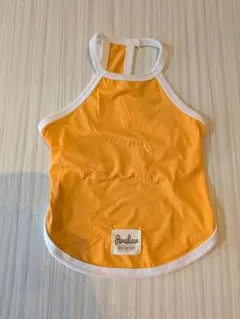 Item thumbnail for item 34dc11db-0d32-4729-9559-8d02c75209d5