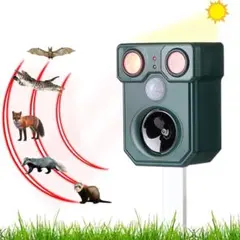 Item thumbnail for item 950b9870-4680-438f-abed-d0914ed91000