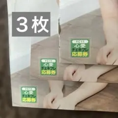 ヤングチャンピオン 心愛 直筆サイン入り チェキ 応募券 4枚セット
