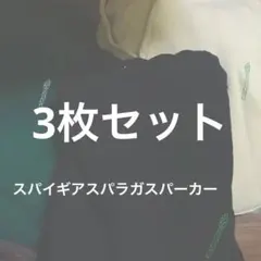 2025年最新】spygeaの人気アイテム - メルカリ