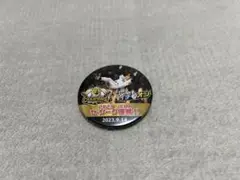 阪神タイガース　今日のイチオシ 2023 JERA セ・リーグ優勝！！　缶バッジ