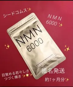 Item thumbnail for item d81d2e63-eec5-4b93-8e06-3c5d575daf32