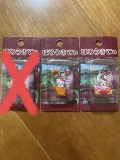 はろうきてぃ　お茶　弁当