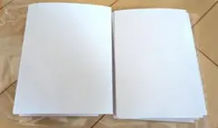 Item thumbnail for item bb497434-38a2-49b1-b4b7-67ee67350209