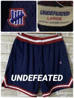 UNDEFEATED メンズL バスパン  ショートパンツ　ライン　刺繍ロゴのサムネイル