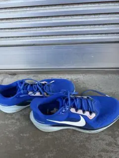 Nike ランニングシューズ ペガサス41 27.0