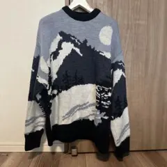 ZARA ニットセーター　ユニセックス