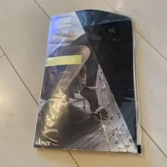 GUNZE Tuché ブラック ストッキング ML