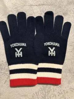 Item thumbnail for item 81f6a70c-0a9e-41e7-be60-a3f8b10e34a2