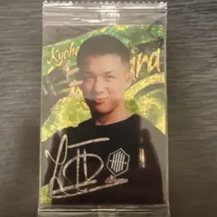 Item thumbnail for item 48b7cde0-c5c5-4ca5-baae-f3fd55f01803