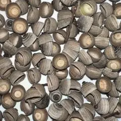 Item thumbnail for item 44aefc99-7e81-455a-a6f3-9c4e4159911a