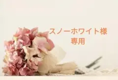 スノーホワイト様 リクエスト 2点 まとめ商品