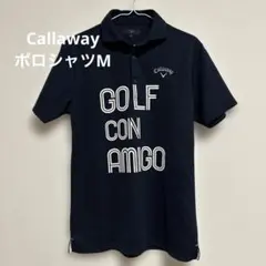 Item thumbnail for item 2f9cc454-e15f-485e-8f4a-1c919dee8b25