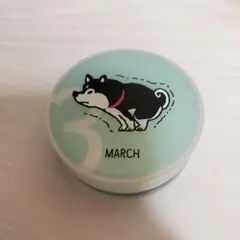 柴犬デザインのミントグリーンの入れ物