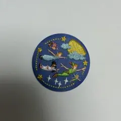 ディズニー　刺繍カンバッチ　ピーターパン