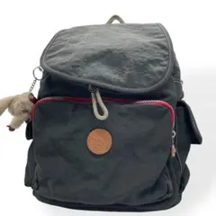 極美品　kipling キプリング CITY PACK　リュック　グレー