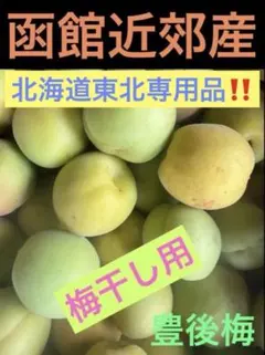 函館近郊産 青梅 2Lサイズ 24kg カイチさん専用 - メルカリ