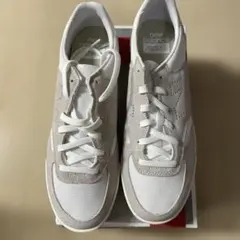 Item thumbnail for item c79f09ee-a717-4542-90d4-7106831e9c0c