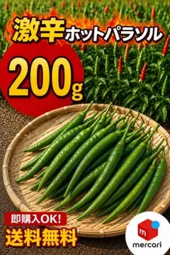 【Misaki】沖縄県産良品　激辛青唐辛子ホットパラソル5kg⭐️ 特別栽培】沖縄県産良品 激辛青唐辛子ホットパラソル200g⭐️12時間