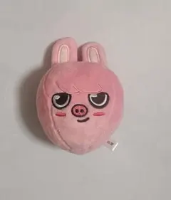 2025年最新】stray kids バッグチャームの人気アイテム - メルカリ