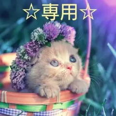 よるこ様☆専用☆リボーンドール お洋服セット