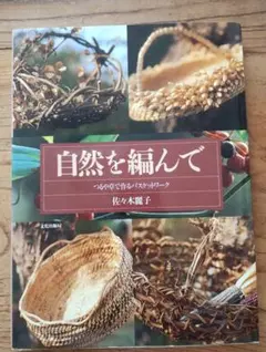 Item thumbnail for item 19de70b3-2072-4acc-98df-4e242fce1add