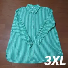 緑と白のストライプ長袖シャツ