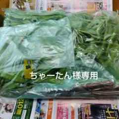 ちゃーたん様専用