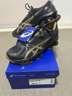 Kiko Kostadinov × Asics Gel-Quantum 28cm